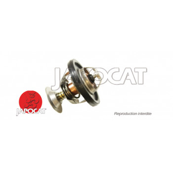THERMOSTAT 300TDi LAND ROVER DEFENDER - DISCOVERY & RANGE CLASSIC
