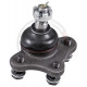 ROTULE Supérieure suspension FORD RANGER 99-12 & MAZDA B2500 - BT50 99-12