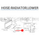 DURITE Inférieure de Radiateur 2.5TD NISSAN NAVARA 1998-2002