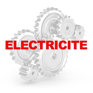 ELECTRICITE LEXUS RX