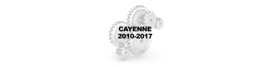 CAYENNE 2010-2017