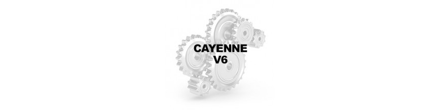 CAYENNE V6