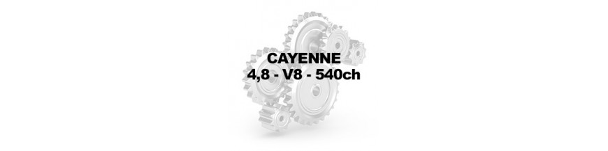 4,8 V8 540ch