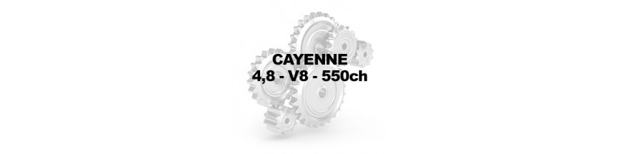 4,8 V8 550ch 