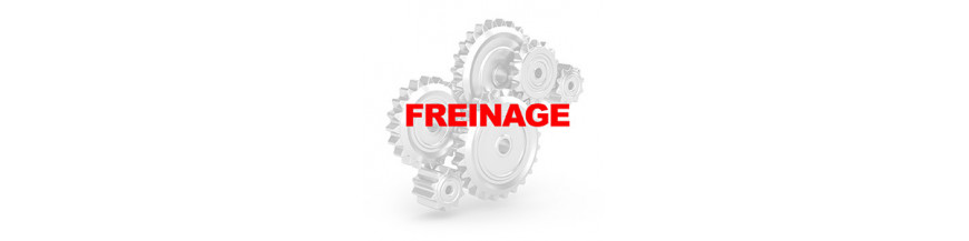 FREINAGE FORD KUGA