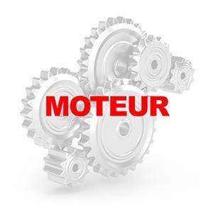 MOTEUR OPEL MONTEREY