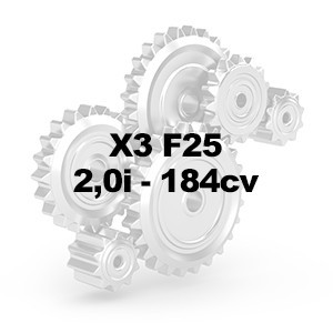 X3 F25 2.0i 184cv