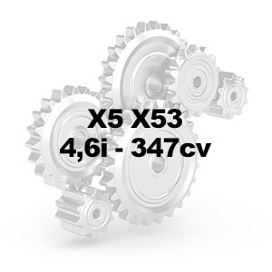 X5 E53 4.6i 347cv