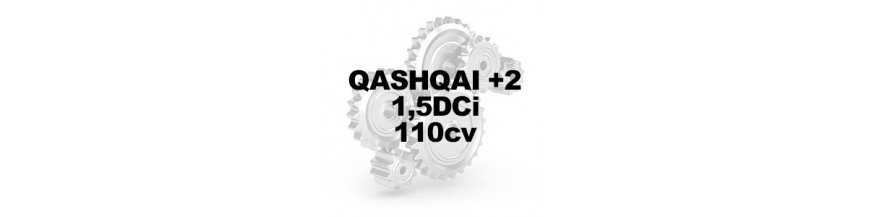 QASHQAI +2 1.5DCi 110CV