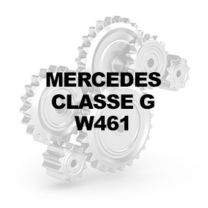 CLASSE G W461