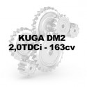 KUGA DM2 2.0TDCi 163cv