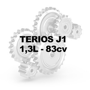TERIOS J1 1.3L 83cv