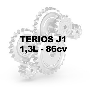 TERIOS J1 1.3L 86cv